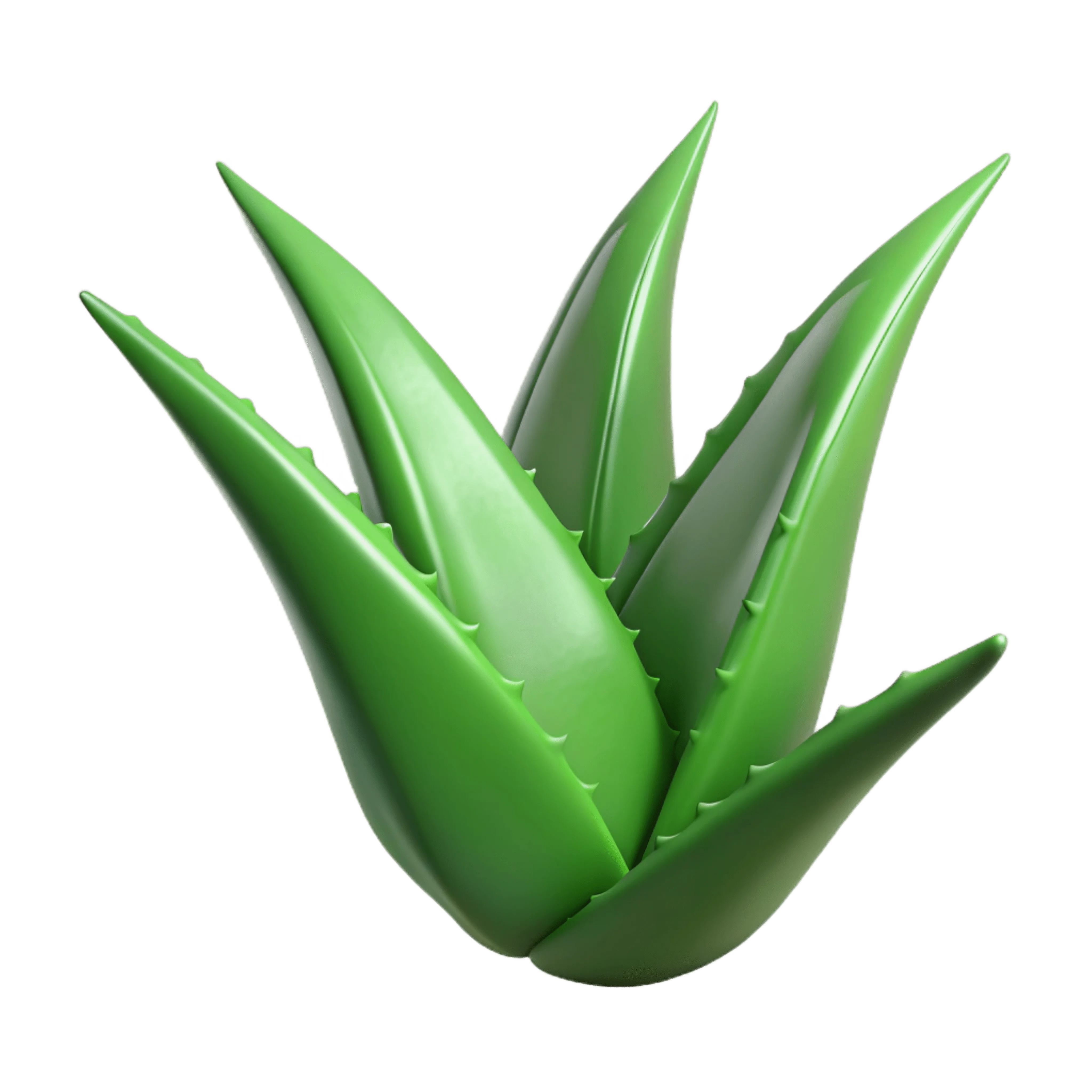 Aloevera